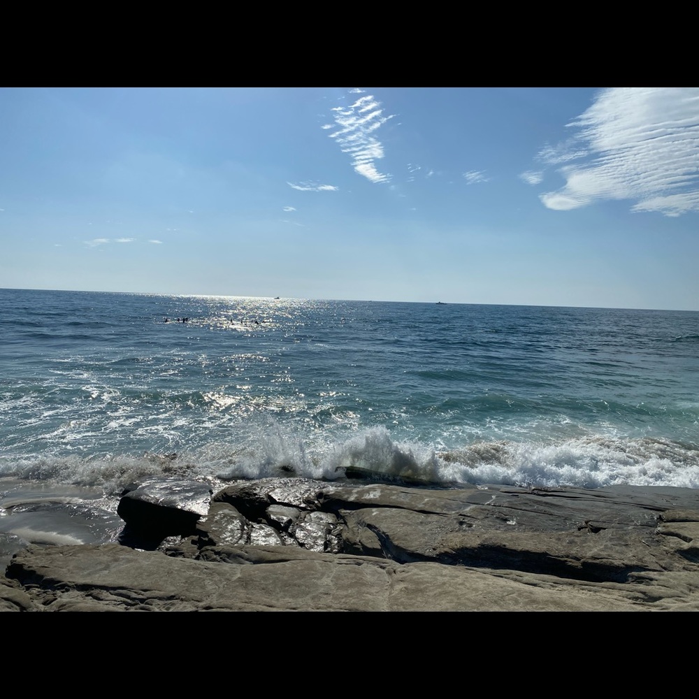 Meet your Posher, Surabhi